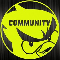 버드핑 공식 Community logo