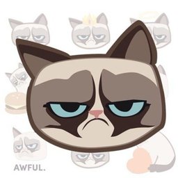 Grumpy Cat Community logo