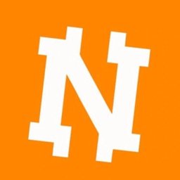 NetCoin Portal logo