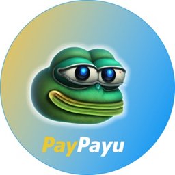 PAYU COIN logo