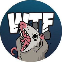 WTF Opossum logo